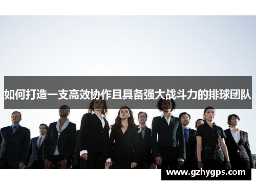 如何打造一支高效协作且具备强大战斗力的排球团队