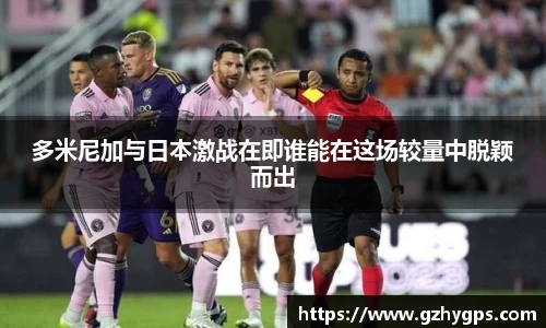 多米尼加与日本激战在即谁能在这场较量中脱颖而出